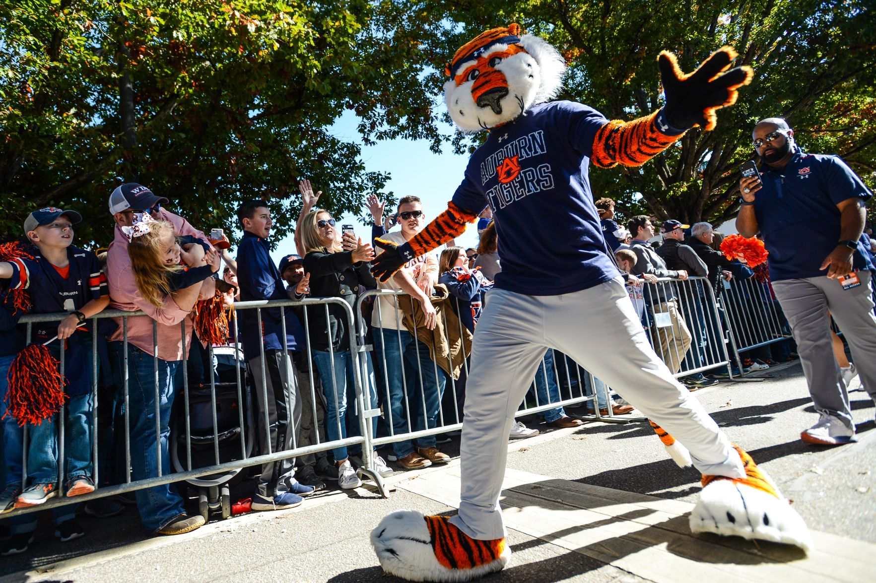 Georgia vs Auburn Football